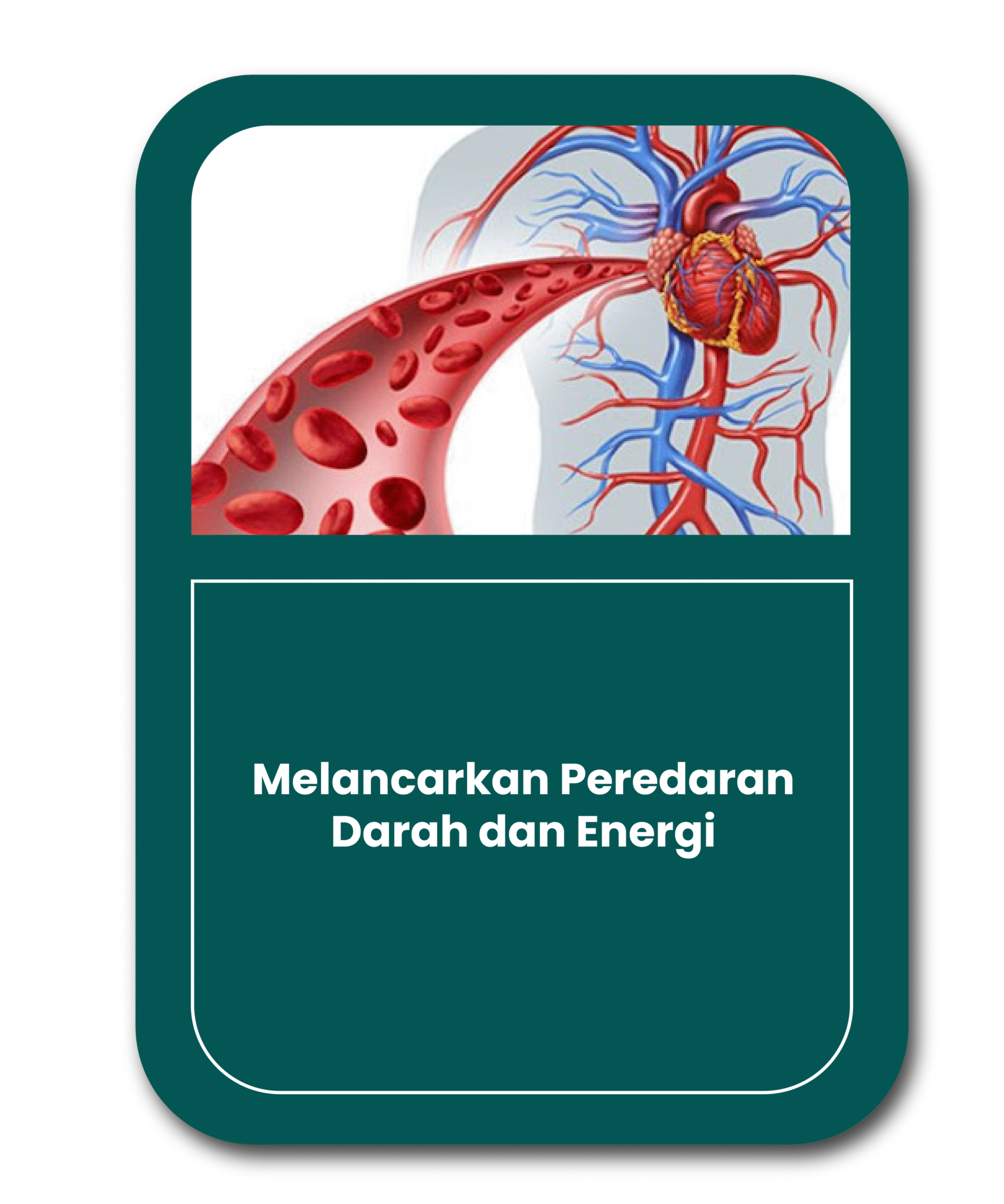 fungsi Magnetic Energy